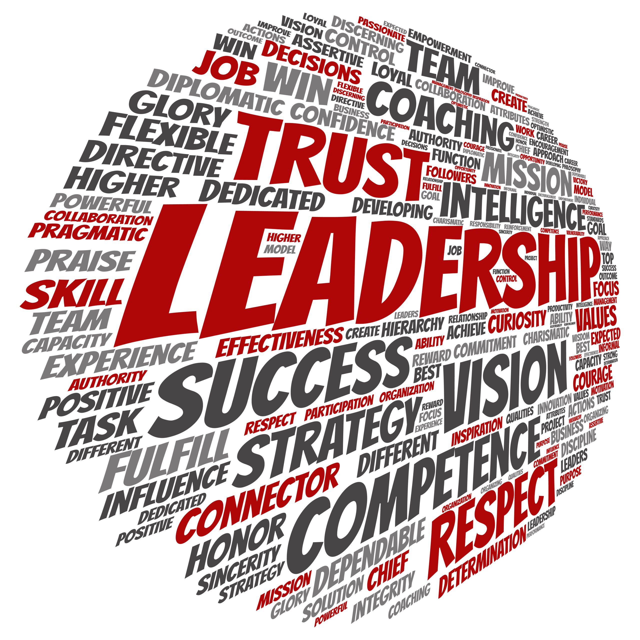 marketing leadership for your company.